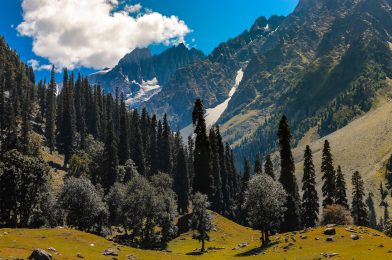 Beautiful Mountain Landscape Of Sonamarg Jammu And Kashmir State India.