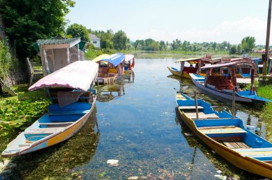 Beautiful view of Srinagar, the capital of Kashmir, India on the banks of the Jhelum River