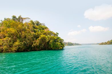 Landscape of Jolly Buoy Island, Andaman and Nicobar, India.